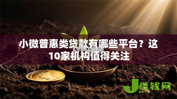 小微普惠类贷款有哪些平台?这10家机构值得关注 小微普惠类贷款有哪些平台?这10家机构值得关注