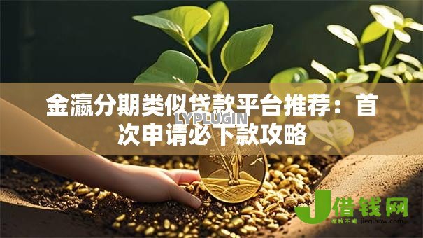 金瀛分期类似贷款平台推荐：首次申请必下款攻略
