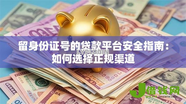 留身份证号的贷款平台安全指南：如何选择正规渠道