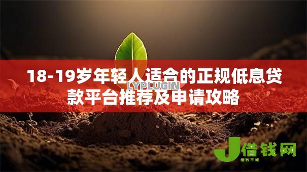 18-19岁年轻人适合的正规低息贷款平台推荐及申请攻略 18-19岁年轻人适合的正规低息贷款平台推荐及申请攻略