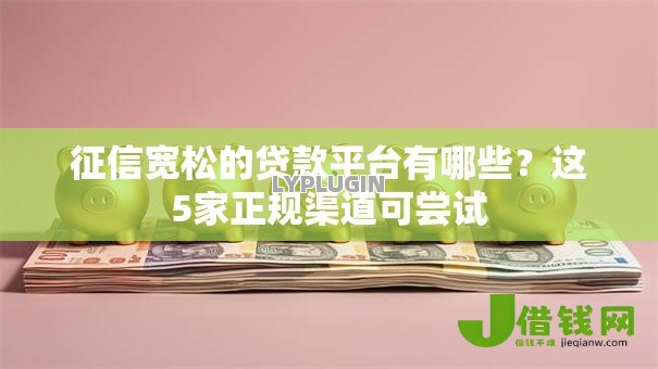 征信宽松的贷款平台有哪些？这5家正规渠道可尝试
