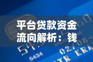 平台贷款资金流向解析：钱到底打到哪个账户？