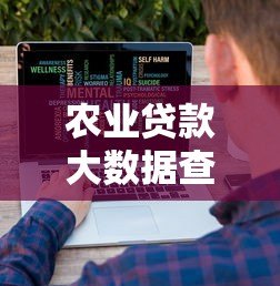农业贷款大数据查询平台：申请流程与审批技巧解析