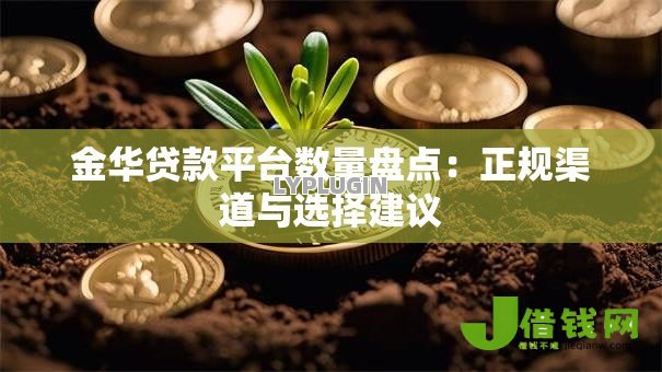 金华贷款平台数量盘点：正规渠道与选择建议