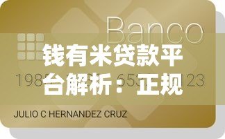 钱有米贷款平台解析：正规性、申请流程及用户评价全知道