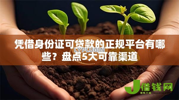 凭借身份证可贷款的正规平台有哪些?盘点5大可靠渠道 凭借身份证可贷款的正规平台有哪些?盘点5大可靠渠道