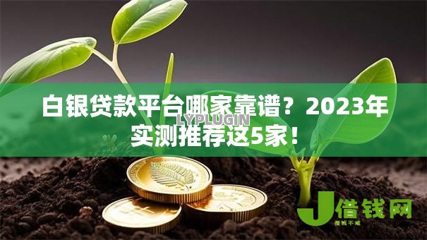 白银贷款平台哪家靠谱？2023年实测推荐这5家！
