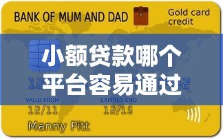 小额贷款哪个平台容易通过 5大高通过率平台推荐