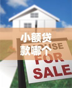 小额贷款哪个平台容易通过 5大高通过率平台推荐