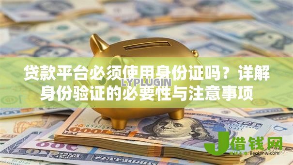 贷款平台必须使用身份证吗？详解身份验证的必要性与注意事项