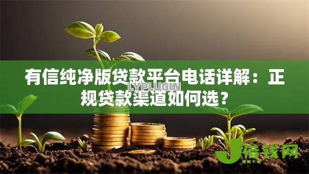 有信纯净版贷款平台电话详解：正规贷款渠道如何选？