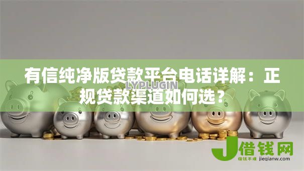 有信纯净版贷款平台电话详解：正规贷款渠道如何选？