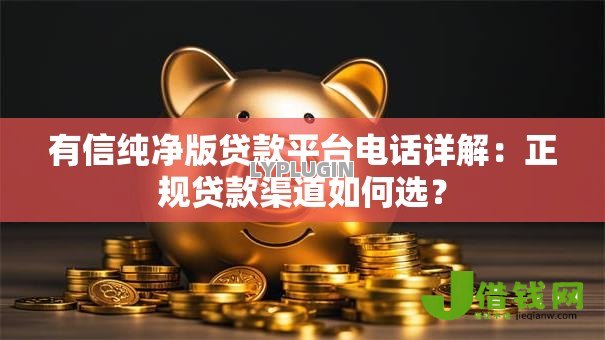 有信纯净版贷款平台电话详解：正规贷款渠道如何选？