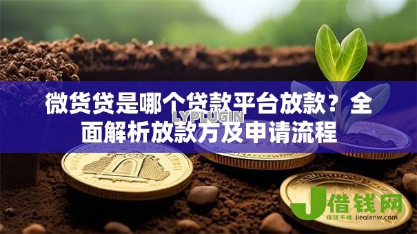 微货贷是哪个贷款平台放款？全面解析放款方及申请流程
