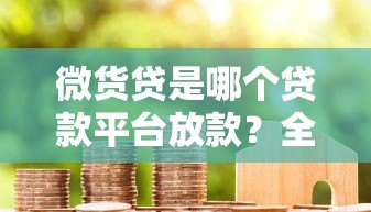 微货贷是哪个贷款平台放款？全面解析放款方及申请流程