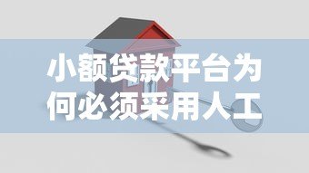 小额贷款平台为何必须采用人工审核?揭秘背后的关键原因 小额贷款平台为何必须采用人工审核?揭秘背后的关键原因