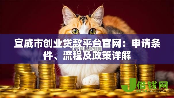 宣威市创业贷款平台官网：申请条件、流程及政策详解