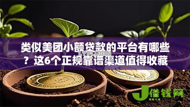 类似美团小额贷款的平台有哪些？这6个正规靠谱渠道值得收藏