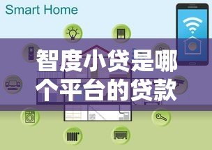 智度小贷是哪个平台的贷款？详细解析其背景与产品特点