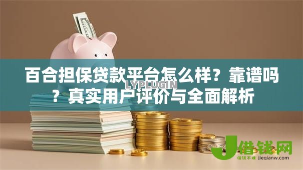 百合担保贷款平台怎么样?靠谱吗?真实用户评价与全面解析 百合担保贷款平台怎么样?靠谱吗?真实用户评价与全面解析