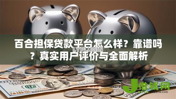百合担保贷款平台怎么样?靠谱吗?真实用户评价与全面解析 百合担保贷款平台怎么样?靠谱吗?真实用户评价与全面解析