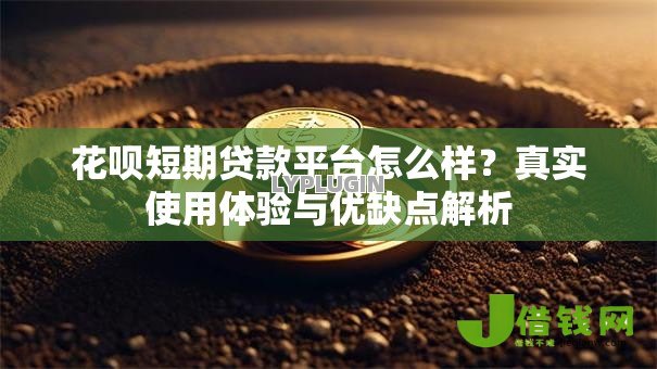 花呗短期贷款平台怎么样?真实使用体验与优缺点解析 花呗短期贷款平台怎么样?真实使用体验与优缺点解析