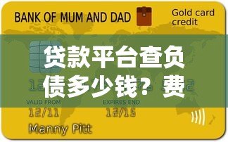 贷款平台查负债多少钱？费用明细与避坑指南