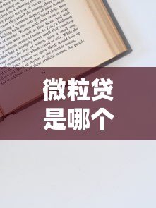微粒贷是哪个平台的贷款？一文详解申请流程、利息及注意事项