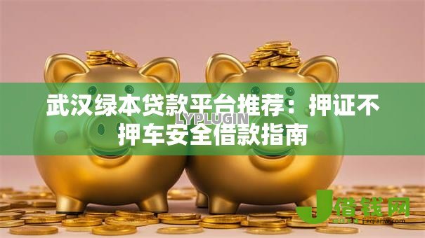 武汉绿本贷款平台推荐：押证不押车安全借款指南