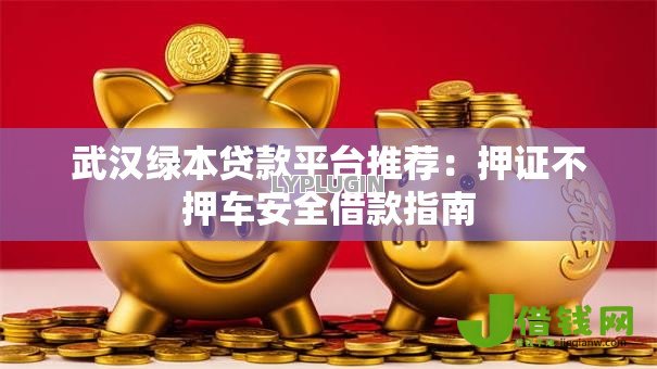 武汉绿本贷款平台推荐：押证不押车安全借款指南