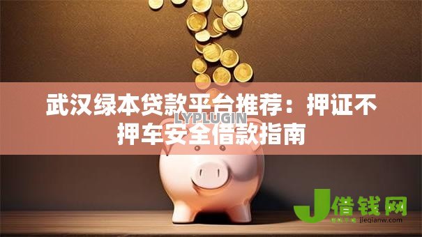 武汉绿本贷款平台推荐：押证不押车安全借款指南