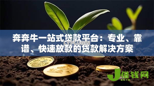 奔奔牛一站式贷款平台：专业、靠谱、快速放款的贷款解决方案