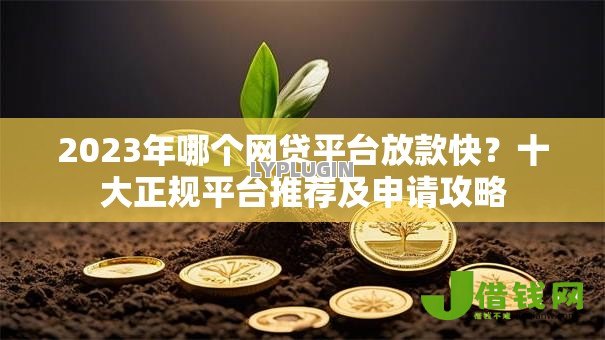 2023年哪个网贷平台放款快？十大正规平台推荐及申请攻略