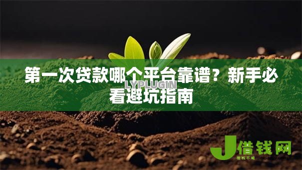 第一次贷款哪个平台靠谱？新手必看避坑指南