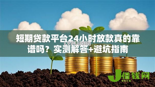 短期贷款平台24小时放款真的靠谱吗？实测解答+避坑指南