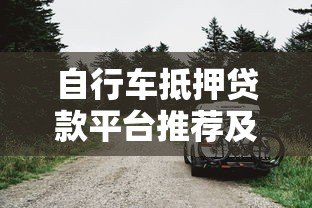 自行车抵押贷款平台推荐及申请指南