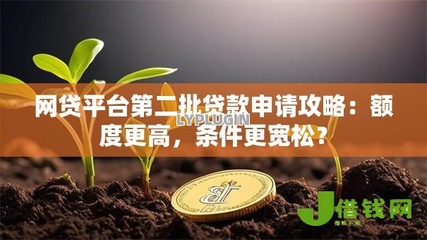 网贷平台第二批贷款申请攻略：额度更高，条件更宽松？