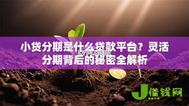 小贷分期是什么贷款平台？灵活分期背后的秘密全解析