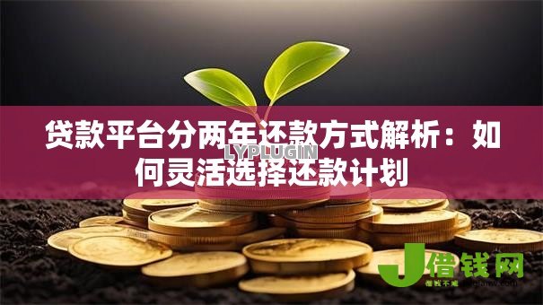 贷款平台分两年还款方式解析：如何灵活选择还款计划