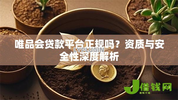 唯品会贷款平台正规吗？资质与安全性深度解析