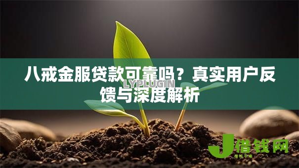 八戒金服贷款可靠吗？真实用户反馈与深度解析
