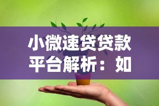 小微速贷贷款平台解析:如何为小微企业解决融资难题 小微速贷贷款平台解析:如何为小微企业解决融资难题