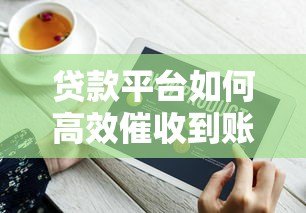 贷款平台如何高效催收到账？详解流程与实用技巧