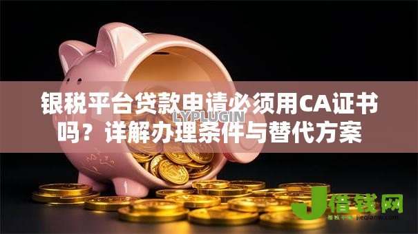 银税平台贷款申请必须用CA证书吗?详解办理条件与替代方案 银税平台贷款申请必须用CA证书吗?详解办理条件与替代方案