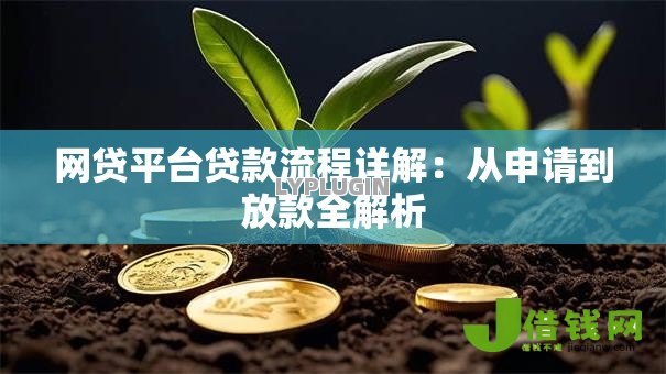 网贷平台贷款流程详解:从申请到放款全解析 网贷平台贷款流程详解:从申请到放款全解析