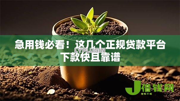 急用钱必看！这几个正规贷款平台下款快且靠谱