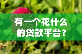有一个花什么的贷款平台?热门花系贷款产品解析 有一个花什么的贷款平台?热门花系贷款产品解析