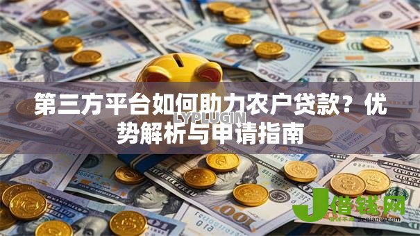 第三方平台如何助力农户贷款?优势解析与申请指南 第三方平台如何助力农户贷款?优势解析与申请指南