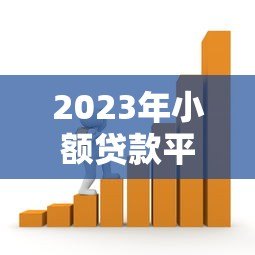 2023年小额贷款平台现状解析：机遇与挑战并存