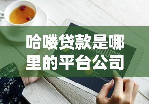 哈喽贷款是哪里的平台公司？资质背景与业务解析